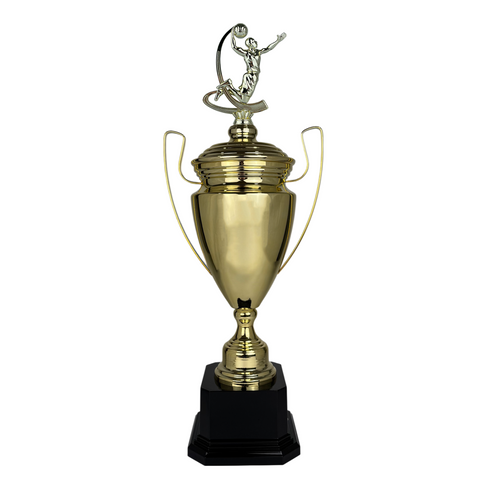 Trofeo de Copa de Metal con Figura Serie M1